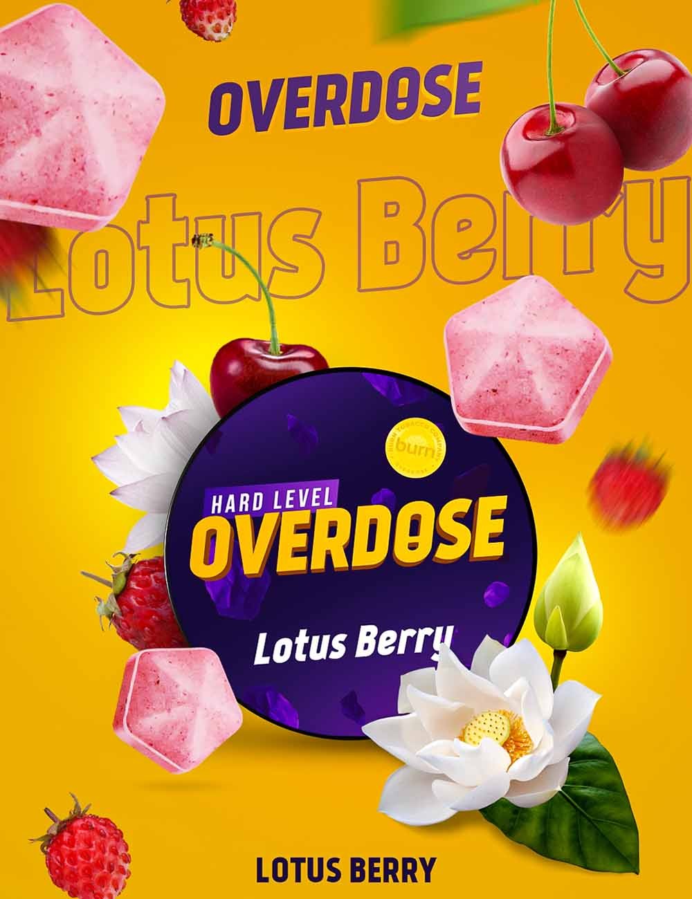 Lotus Berry (lots Brry)